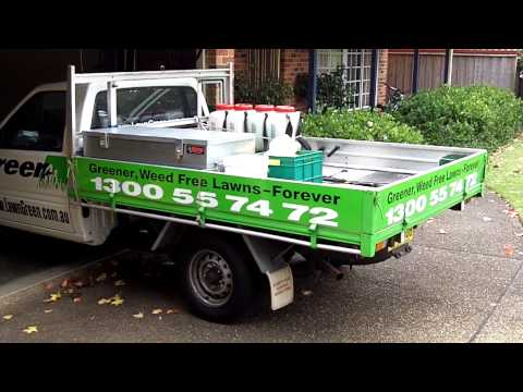 how to fertilize buffalo grass