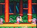 ahh, the classic woods stage of almost every platformer. check out the red-faced monkeys and why are the old ladies sweeping the forest floors? what a kooky little game. pretty fun and solid, overall.
