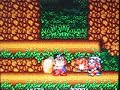 ahh, the classic woods stage of almost every platformer. check out the red-faced monkeys and why are the old ladies sweeping the forest floors? what a kooky little game. pretty fun and solid, overall.