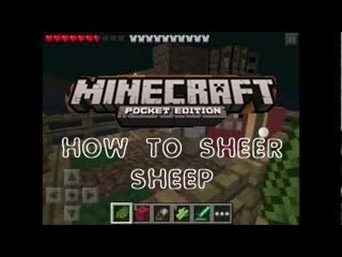 how to dye sheep in minecraft pe