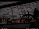 you are A pirate -