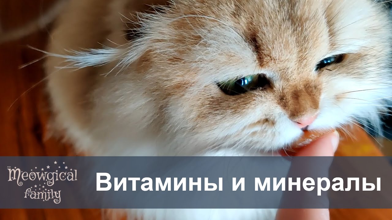 😋 Пищевые добавки: витамины, минералы, вещества