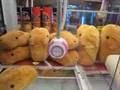 Awesome Capybaras (Kapibara-san)