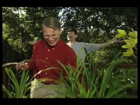 how to plant cymbidium