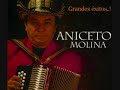 Aniceto Molina-El diario de un Borracho
