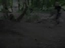 Bike Style Fun