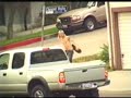 Skateboarding Falls