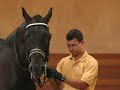 manege santa adelaide