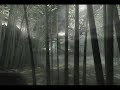 Kenny G - The Moon Represent my Heart