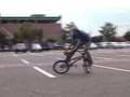 ZOLS HLK 2007 RIDING