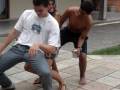 videos de Turma 21! Parte 2