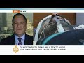 Danny Gillerman on Israel\ Danny Gillerman on Israel\