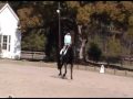 Zebulon Show