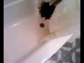 videos de Me being bored!!!!