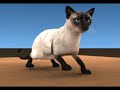Krall Character Tests