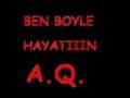 taaa a.q