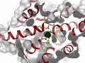 chloride-channel.html