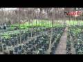 videos de TVGids.nl - Llink ledenwerf actie