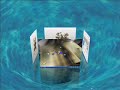 Deskspace+Realdesktop+Shock4wat3d+Topdesk+ObjectDock+...