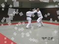 Kempo Kyokaï Kempo Kyokaï