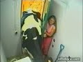 funny cow