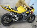 SRAD 1000 COM PONTEIRA CURTA MOTO GP