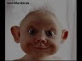 funny pictures