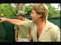 Croc Hunter : The White Crocodile