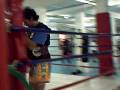 videos de ASD BOXE LA RUSTICA 2008 - MUAY THAI DT M° CHRISTIAN SANTINI