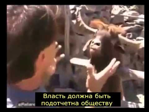 Позитивный видеоролик о Антимайдане