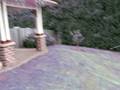 videos de Snowing Katoomba  nov 2008