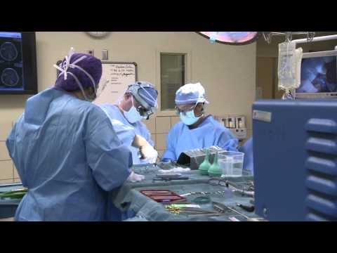 how to isolate cancer stem cells