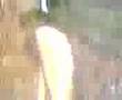 Diet-Coke-and-Mentos