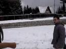 neatza-predeal