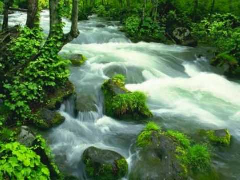 forår