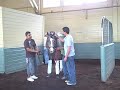 The Pamplemousse schooling for the Santa Anita Derby, 4-3-09