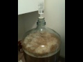 Bubbling Airlock