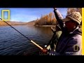 Giant Trout