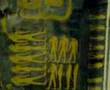 secret-video-from-th