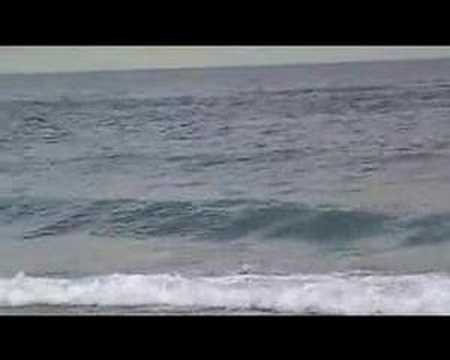 See video See video