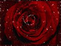 Helen Reddy - Emotion Helen Reddy - Emotion