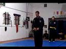 Kuk Sool Won  application of Bak Pal Ki hyung board breaking