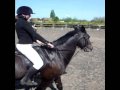 dressage pony club rally