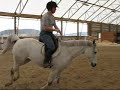 Bridleless Fun with Tin Man!