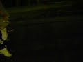 DSCF8558