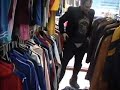 The Rudi Show \"me and my frieng Aaron B shopping in NYC\"