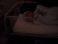 SDC10587.AVI