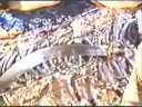 Bhog of Sri Akhand Path by Nihang Singhs - Hola Mohalla 1998