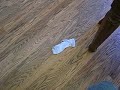 Sock Symphony