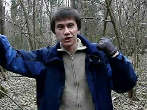 YouTube Трейлер